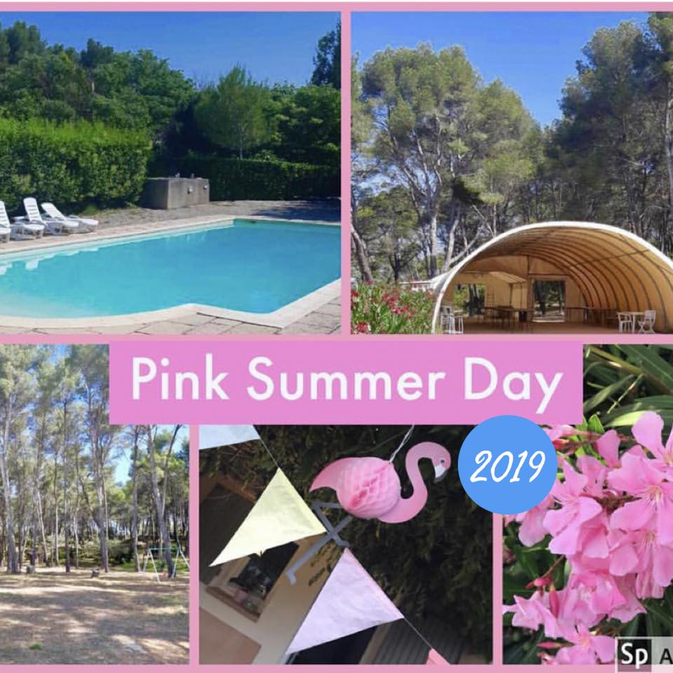 Pink Summer Day le Point rose