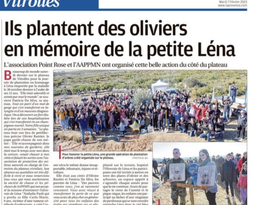 Des oliviers en mémoire de la petite Léna – La Provence, mardi 7 février 2023